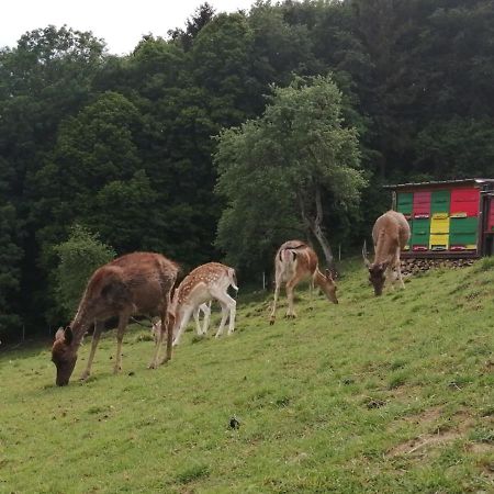 Vila Jelenov Breg Pod Matajurem Kobarid Exteriér fotografie