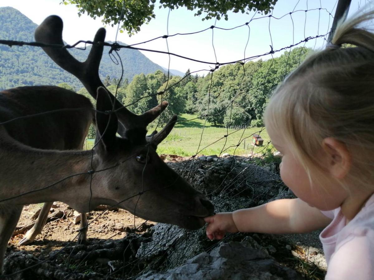 Vila Jelenov Breg Pod Matajurem Kobarid Exteriér fotografie